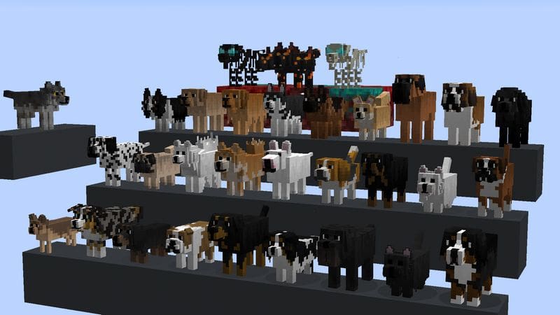 Recursos do Better Dogs Resource Pack