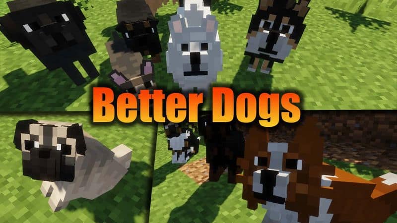 Vantagens do Better Dogs Texture Pack