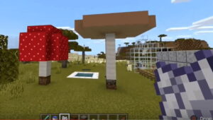 Como Plantar Cogumelo no Minecraft Passo a Passo