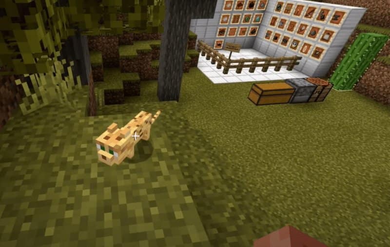 Minecraft: como domesticar um Gato e domar uma Jaguatirica no jogo