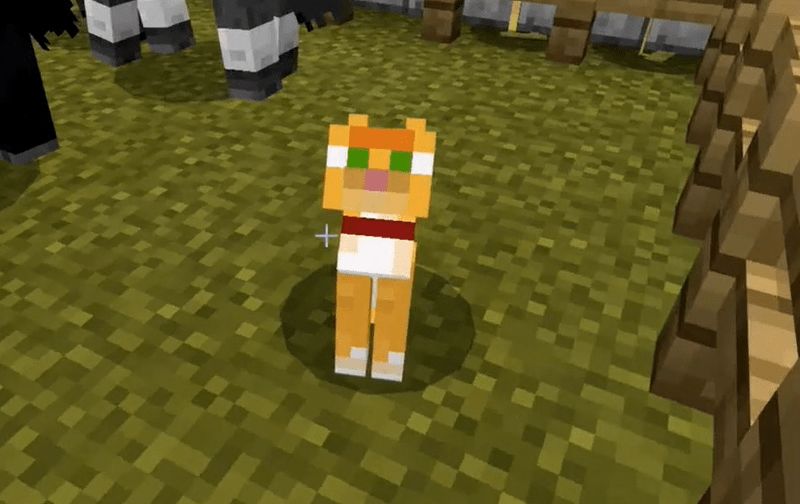 Saiba como domesticar um gato no Minecraft