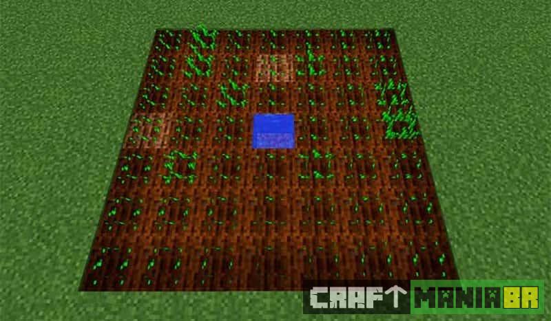 Como plantar Trigo no Minecraft