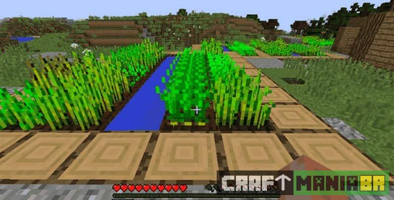 Veja como plantar cenoura no Minecraft