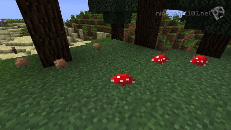 Como plantar cogumelo no Minecraft - Canaltech