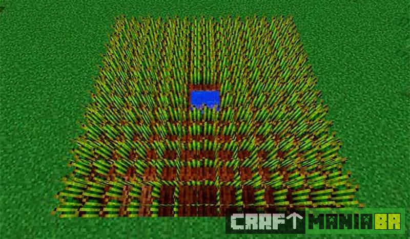 Tutorial sobre como plantar trigo no Minecraft