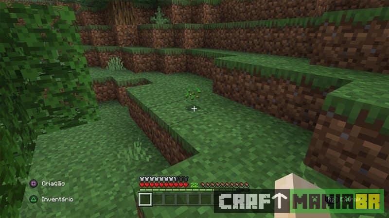 Veja Como Fazer uma Plantação no Minecraft - CRAFTMANIA