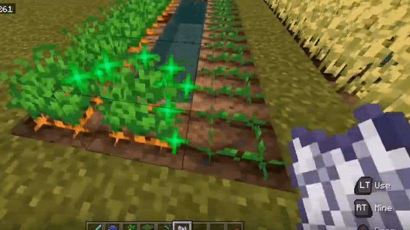 Fertilize as cenouras Minecraft