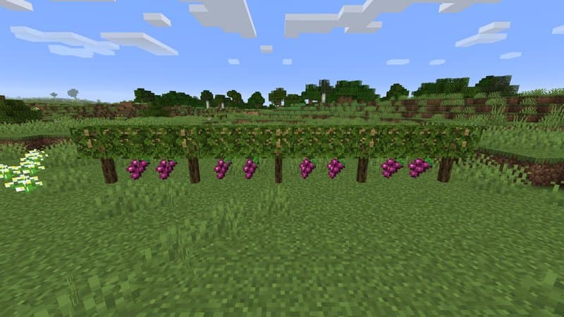 Vinhedos do Minecraft Simple Farming Mod