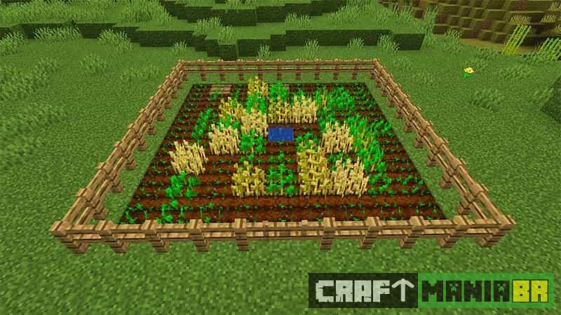 Uma plantação de trigo Minecraft