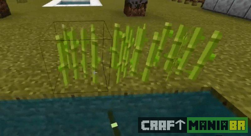 Veja tudo sobre plantar cana-de-açúcar no Minecraft