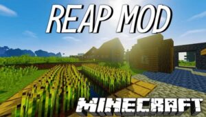 Como Baixar e Instalar o Reap Mod Minecraft