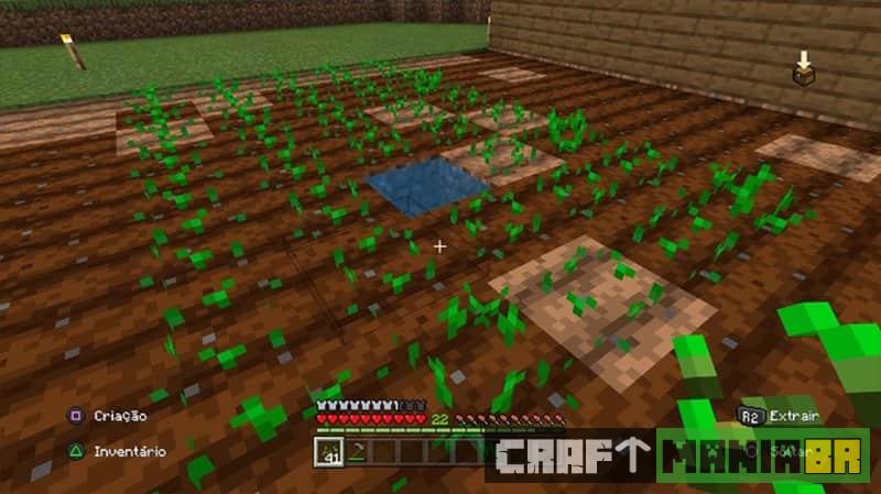 Veja como semear trigo no Minecraft
