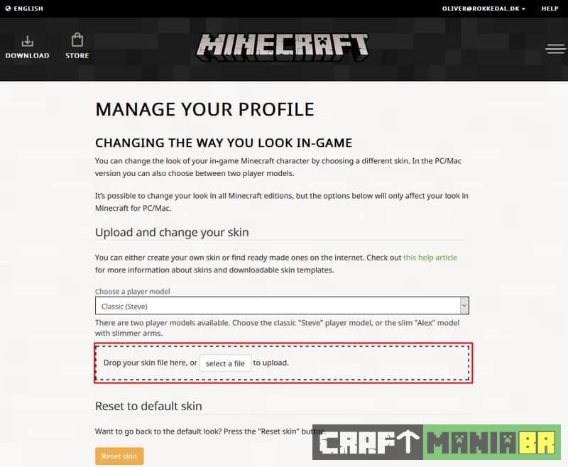 Saiba como colocar skin no Minecraft original